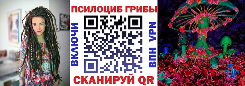 OMG зеркало  дарнет шоп  Димитровград  Галлюциногенные грибы прущие грибы 