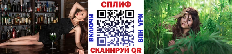 Бошки марихуана MAZAR  где купить наркоту  blacksprut зеркало  Димитровград 